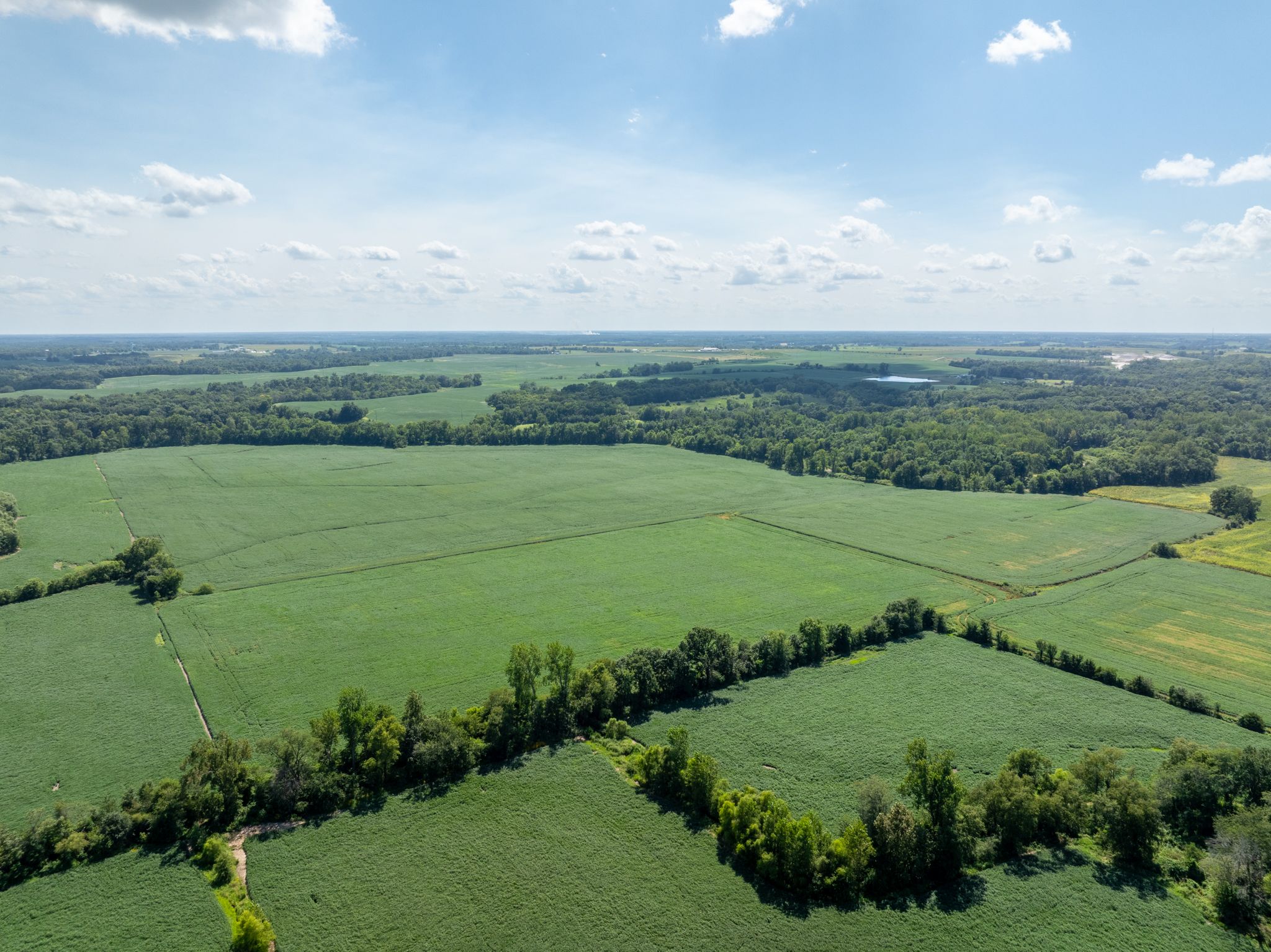 Listing #18565
